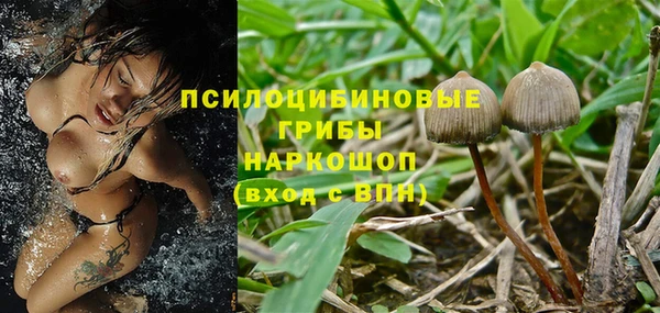 прущая мука Алзамай